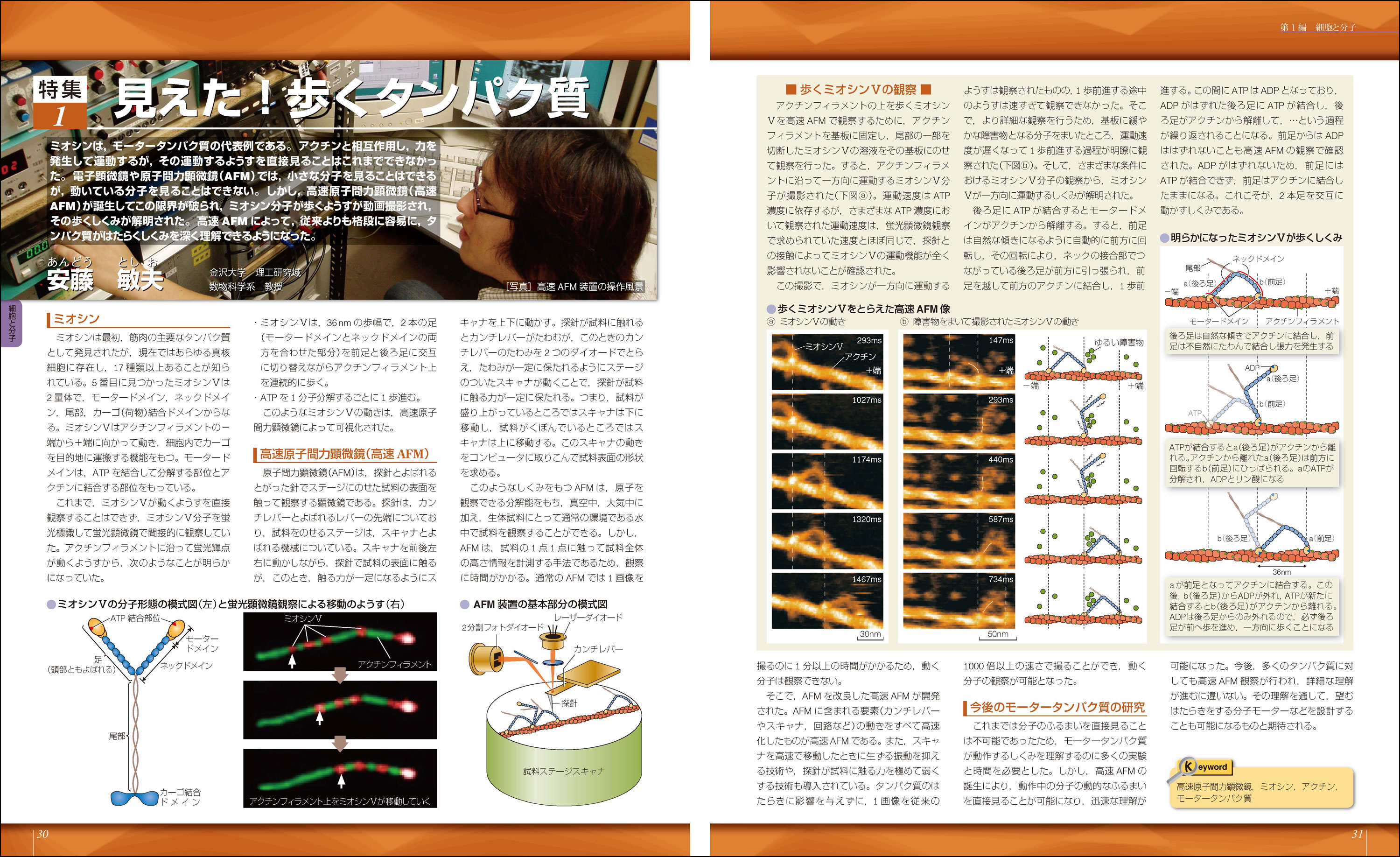 新課程 視覚でとらえる フォトサイエンス生物図録 | 嶋田 正和
