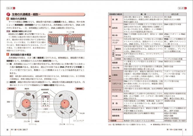 改訂版 リードLight生物基礎｜チャート式の数研出版