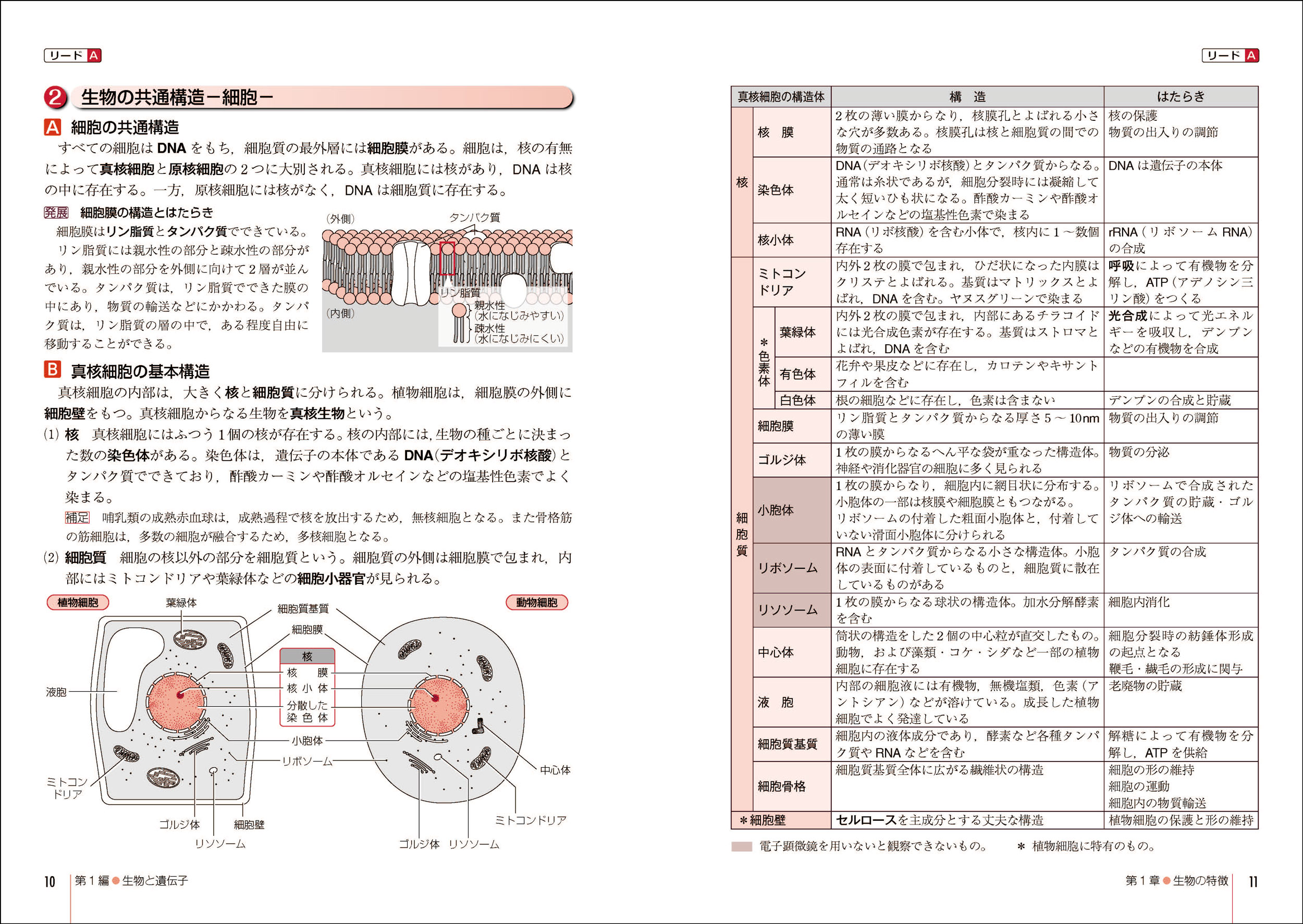 生物　基礎　Jシリーズ　図説　単元別問題集　リードα light ウィンステップ Amazon.co.jp: リードα生物基礎+生物 : 数研出版編集部: 本