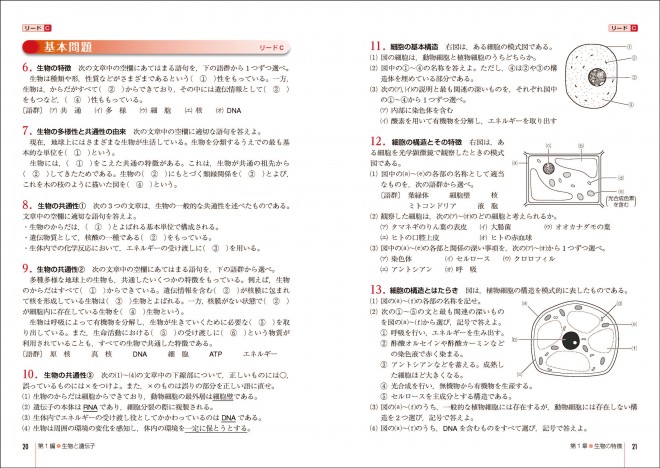 改訂版　リードLight生物基礎　内容