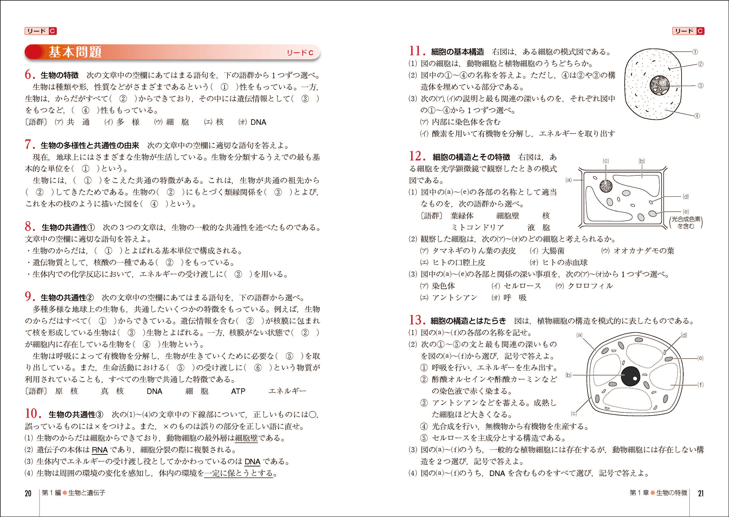 生物　基礎　Jシリーズ　図説　単元別問題集　リードα light ウィンステップ 生物 基礎 Jシリーズ 図説 単元別問題集 リードα light ウィン