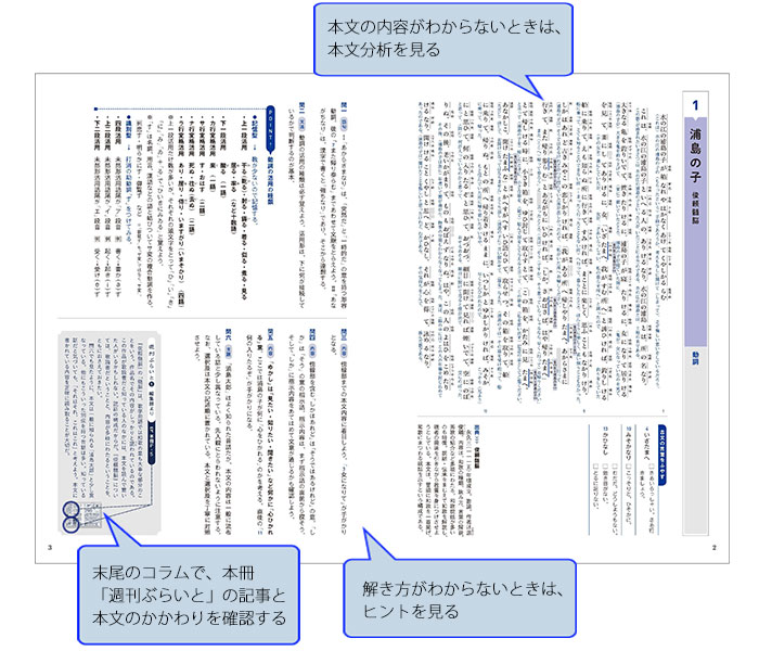 ブライト古文　スタンダード 解説編