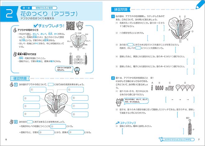 新課程　とにかく基礎　中1理科 内容3