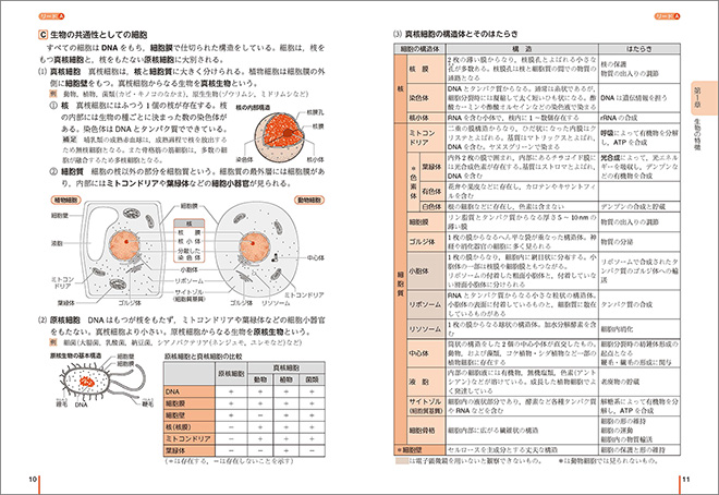 リードLight生物基礎 内容1