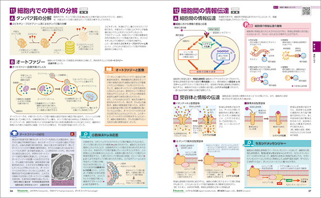 フォトサイエンス生物図録 内容1