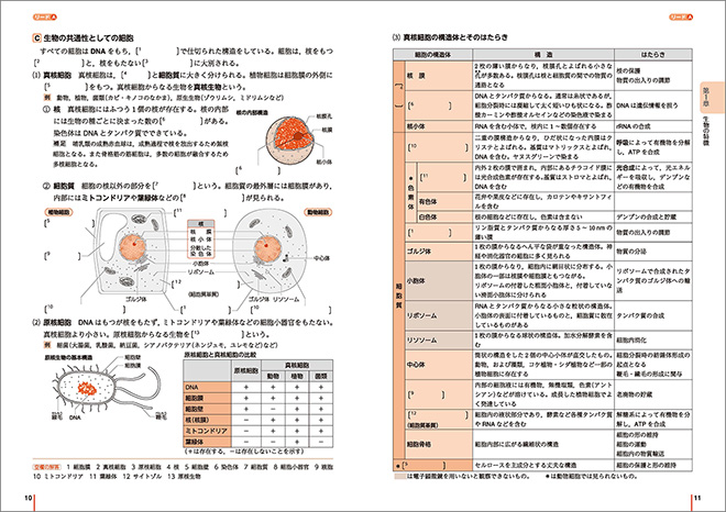 リードLightノート生物基礎 内容 リードA