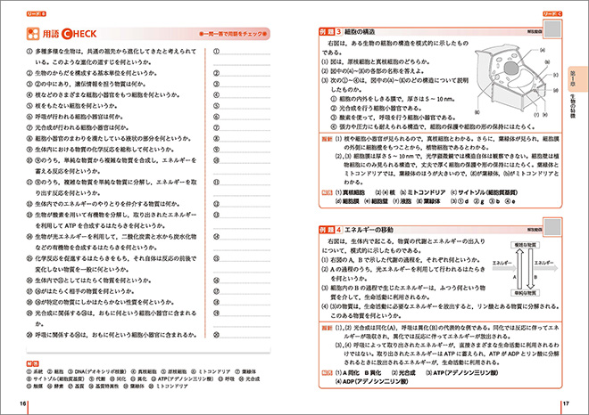 リードLightノート生物基礎 内容 リードB・C