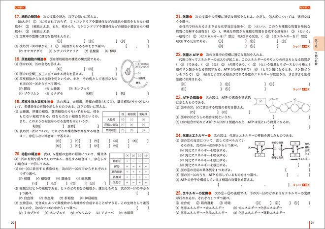 リードLightノート生物基礎 内容 リードC