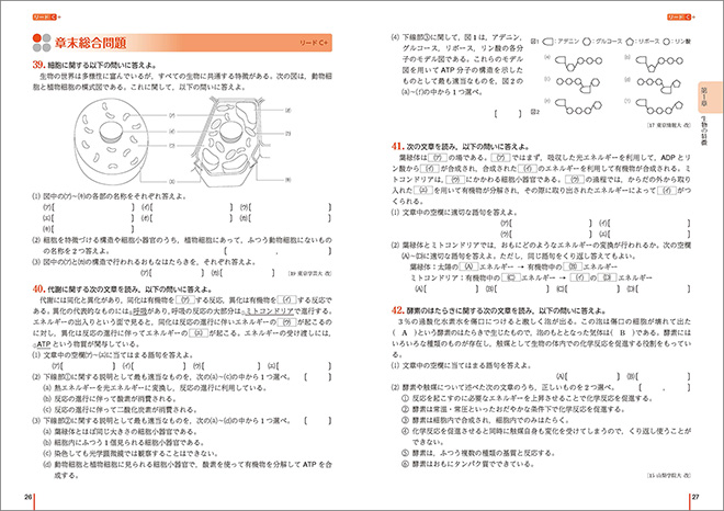 リードLightノート生物基礎 内容 リードC+