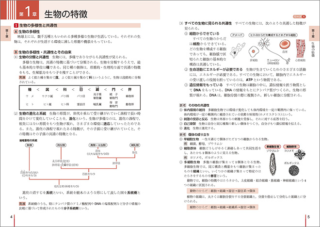 リードα生物基礎 内容 リードA