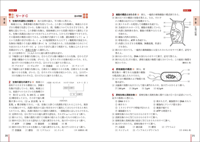 リードα生物基礎 内容 リードC（基本問題）