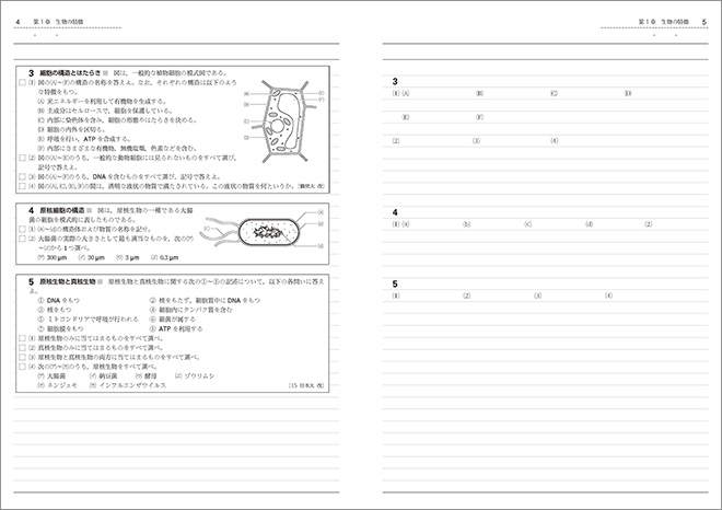 リードα生物基礎 完成ノート 内容 リードC