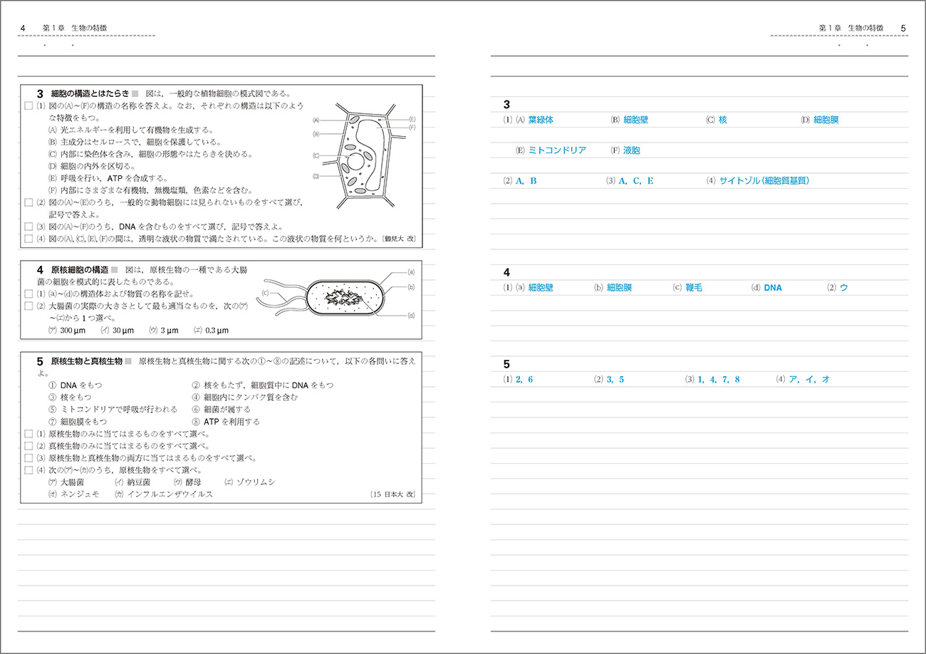 生物基礎のノート 改訂版 リードLightノート生物基礎