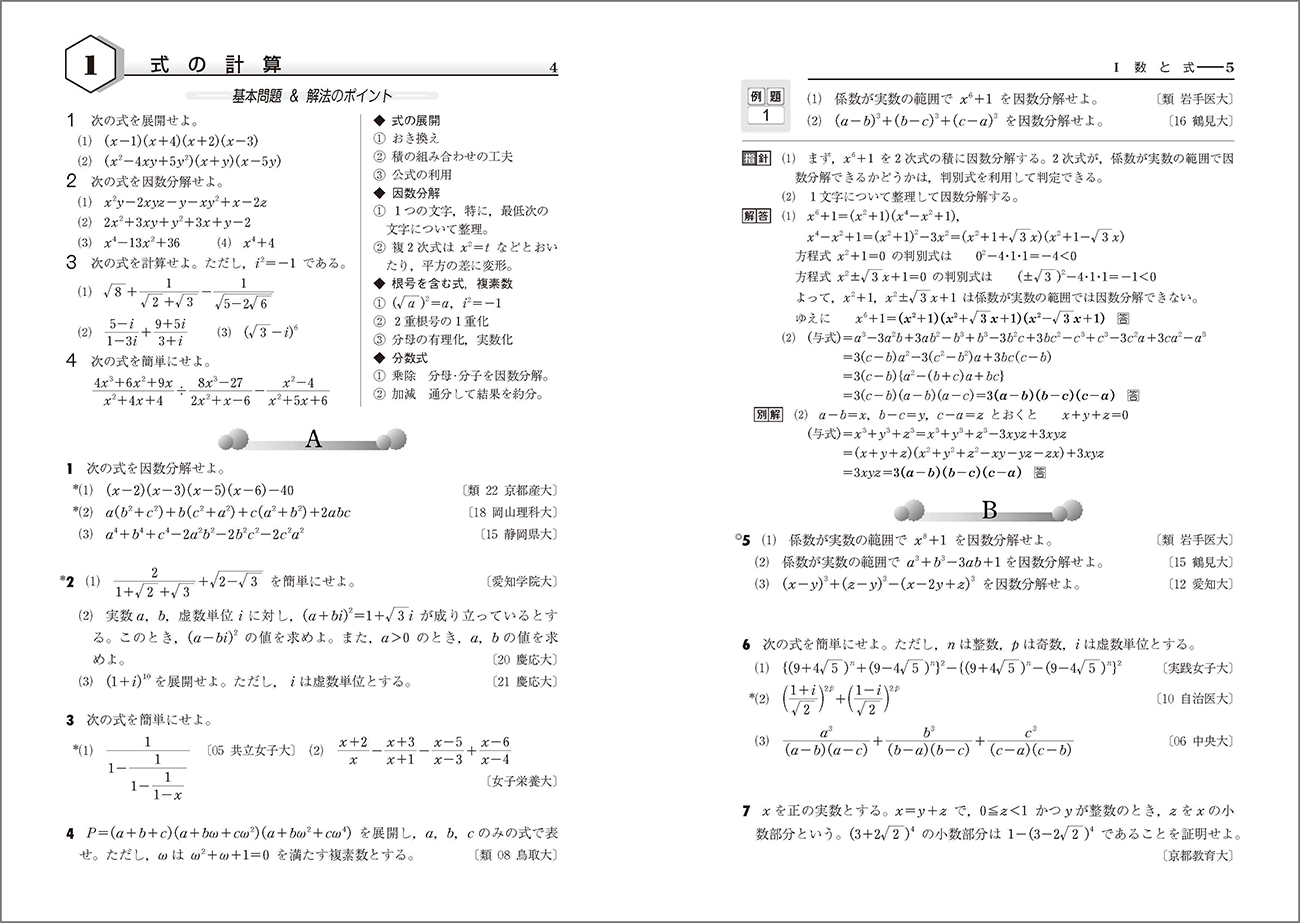 【送料無料 】2019 スタンダード数学演習　I II A B　受験編 別冊解答