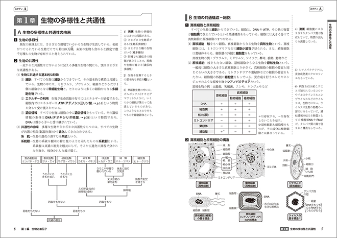 スタディアップノート生物基礎 内容1