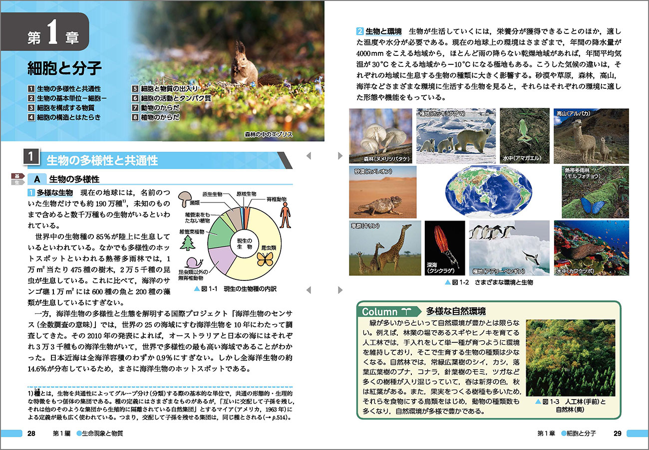 大割引 新生物 生物基礎 生物