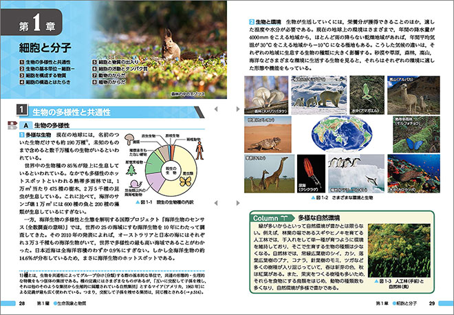 チャート式シリーズ　新生物 生物基礎・生物 内容