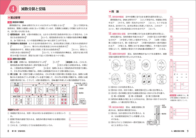 新課程　生物　学習ノート 内容1