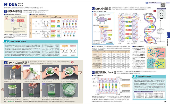 改訂版　フォトサイエンス生物図録 内容2