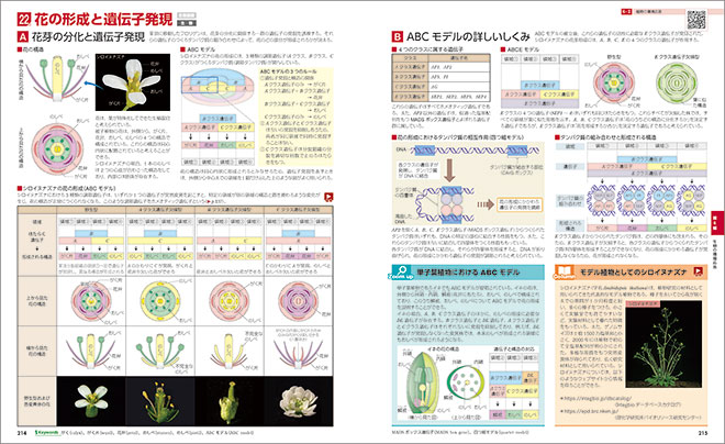 改訂版　フォトサイエンス生物図録 内容3