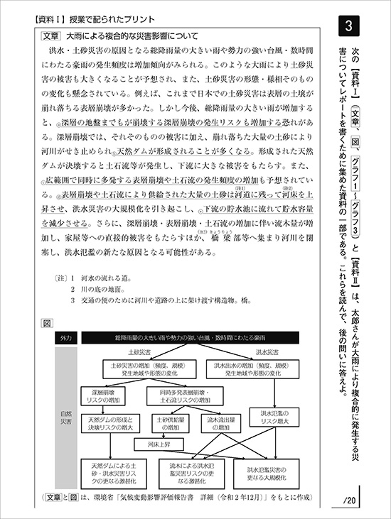 新版　大学入学共通テスト準備演習　論理・文学編 内容2