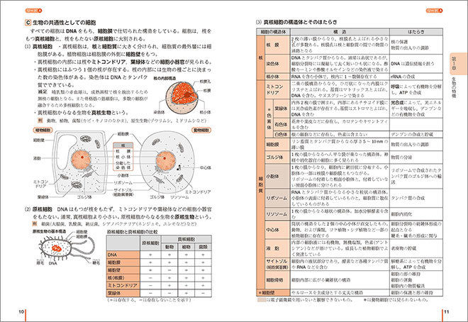 改訂版　リードLight生物基礎 内容1