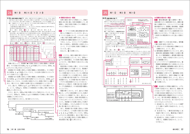 新課程　大学入学共通テスト対策　チェック＆演習　生物基礎 内容4