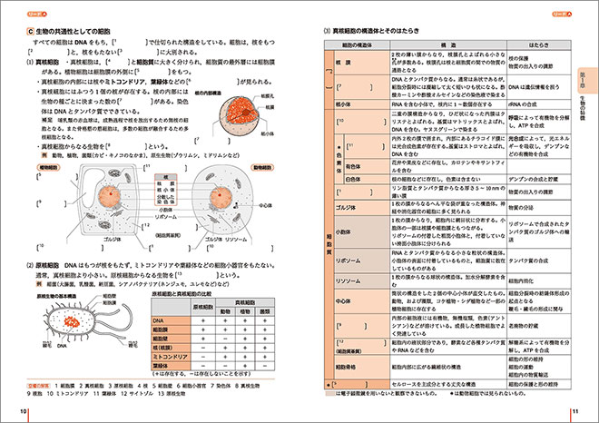 改訂版　リードLightノート生物基礎 内容1