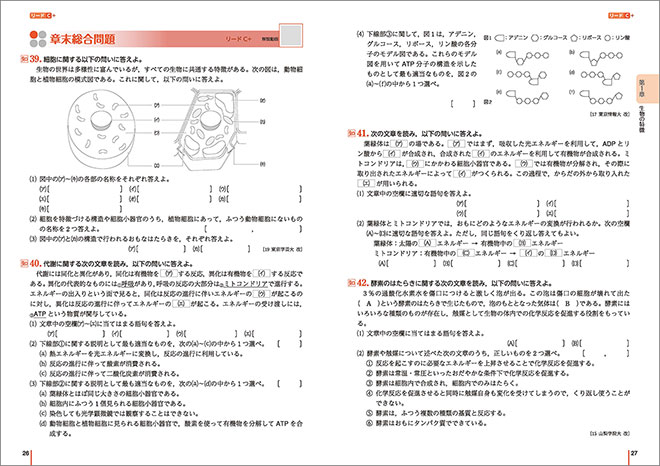 改訂版　リードLightノート生物基礎 内容4