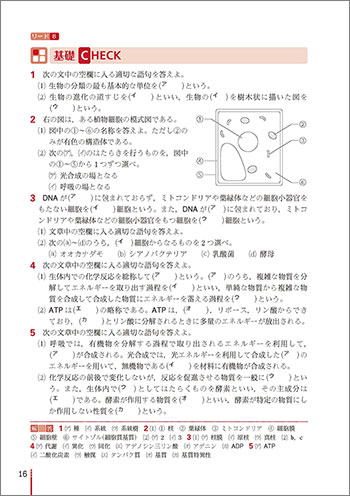 改訂版　リードα生物基礎 内容3