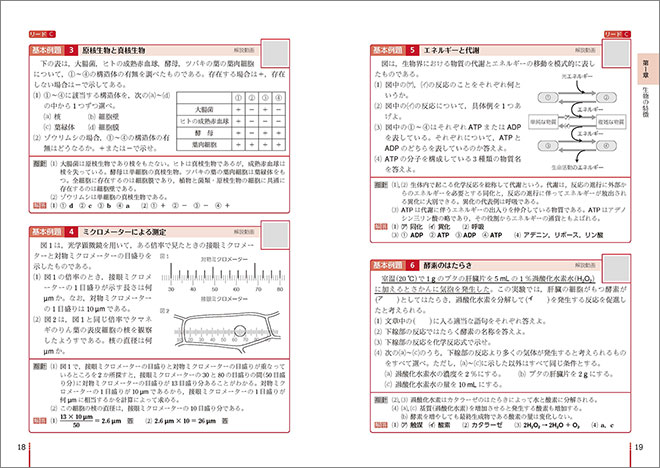 改訂版　リードα生物基礎 内容4