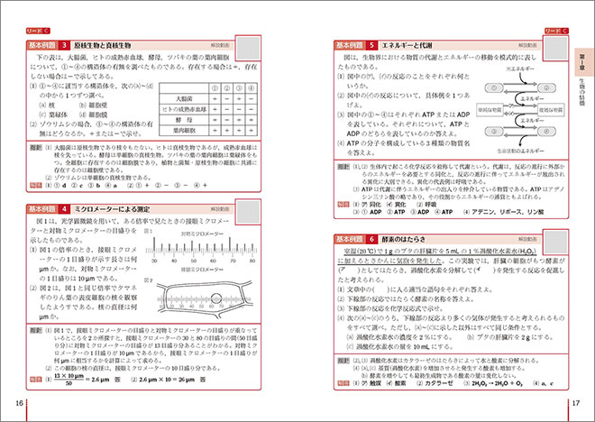 改訂版　リードα生物基礎＋生物 内容4