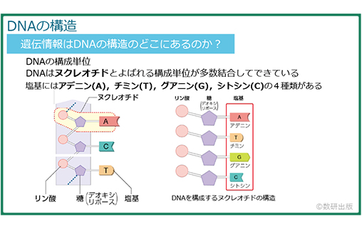 教科書解説動画イメージ