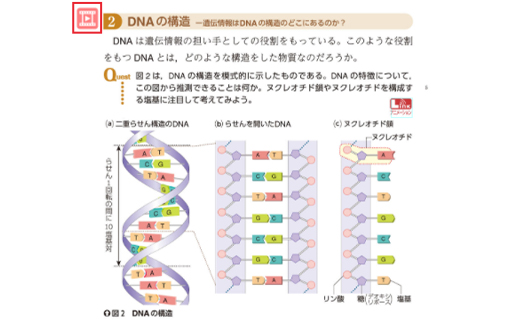 単元の解説動画