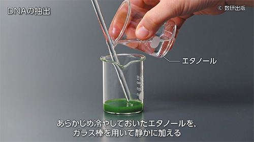 QRコンテンツの特徴　生物基礎