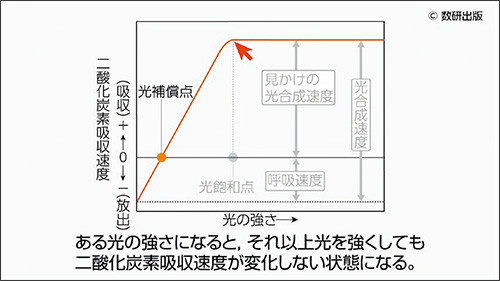 QRコンテンツの特徴　生物基礎