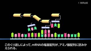 アニメーション 生物