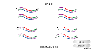 アニメーション 生物図録