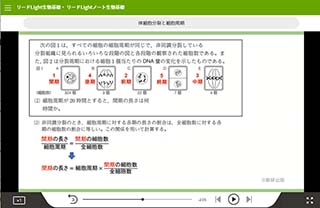 リードLightノート生物基礎