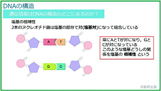 内容解説動画 生物