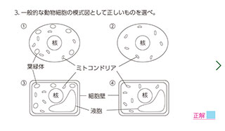 選択問題 - ⽣物のイメージ