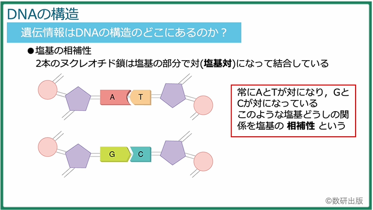 内容解説動画　理科