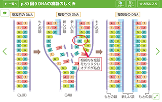 図版ビュー　生物