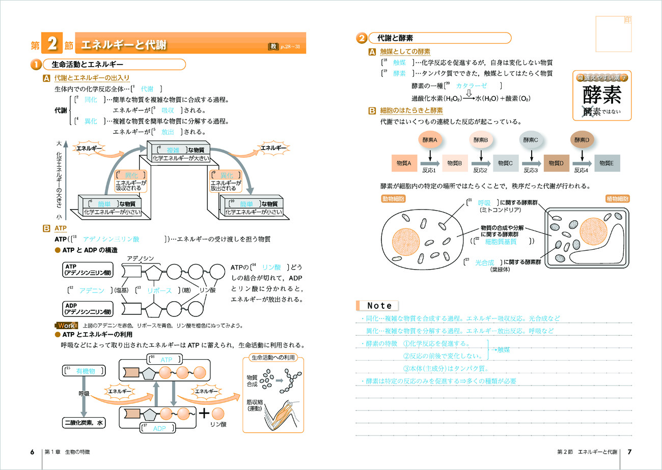 改訂版 新編 生物基礎 準拠ノート 教科書の整理 チャート式の数研出版