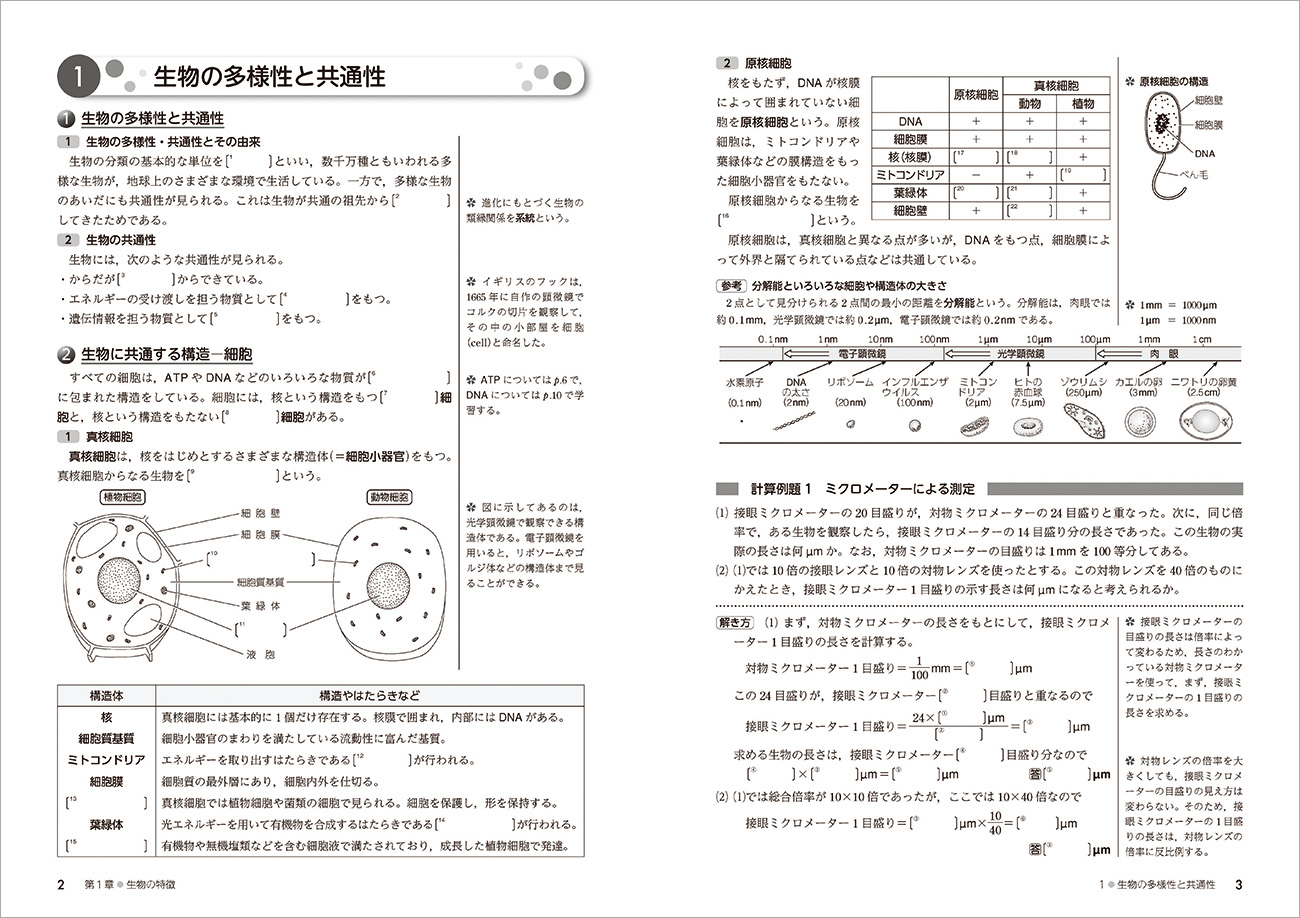 看護系受験問題集 化学1B(+化学2) 数研出版