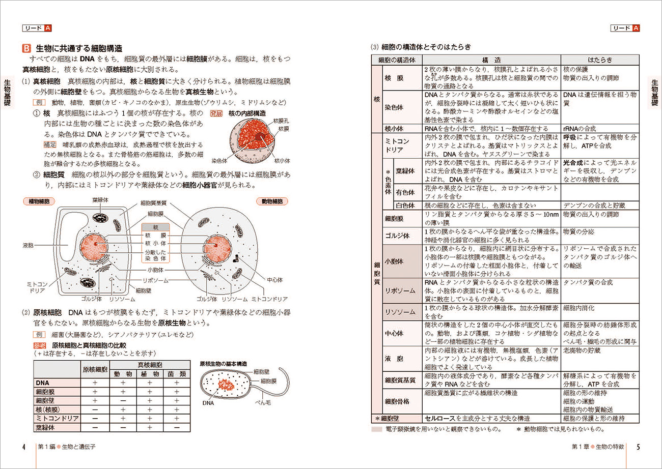五訂版 リードα生物基礎+生物｜チャート式の数研出版
