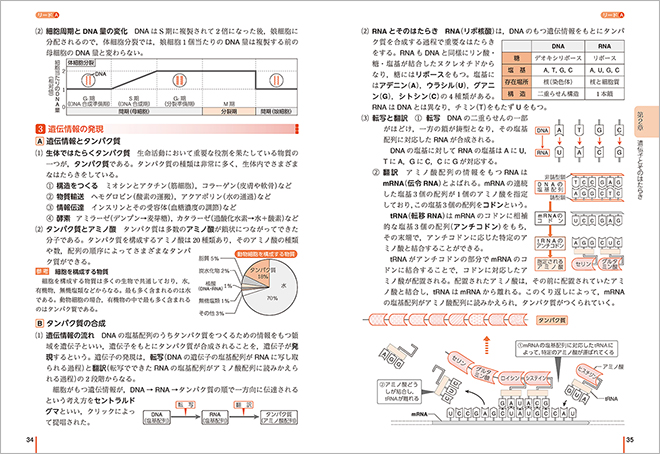三訂版　リードLight生物基礎　－　リードA（要項）