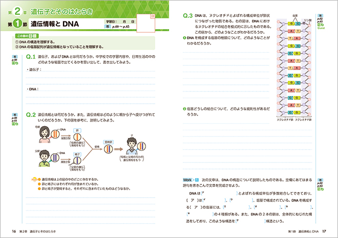 改訂版 新編 生物基礎 準拠 アクティブブック 内容を見る　紙面
