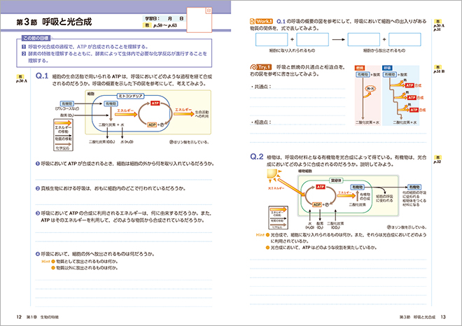 改訂版 生物基礎・改訂版 高等学校生物基礎 準拠 アクティブブック　－　内容を見る　紙面