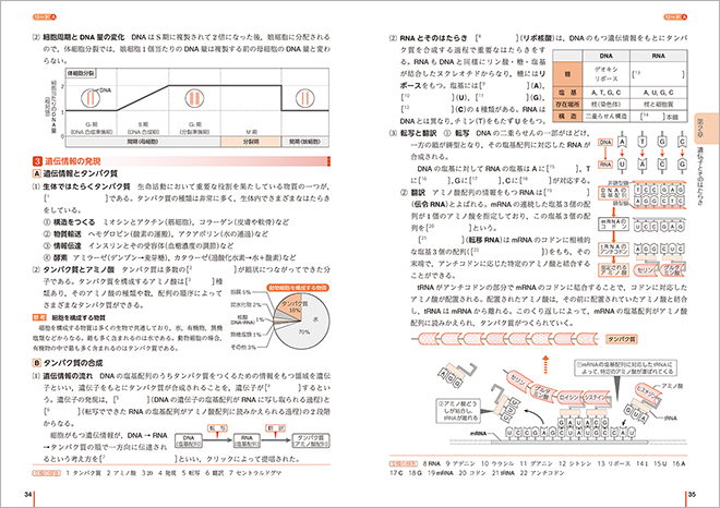 三訂版　リードLightノート生物基礎　－　リードA（要項）